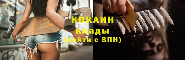 соль ск Абаза