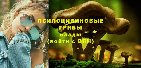 дурь Алзамай
